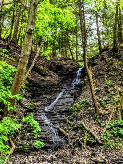 Keshequa Creek Falls Trailhead - Dansville, NY