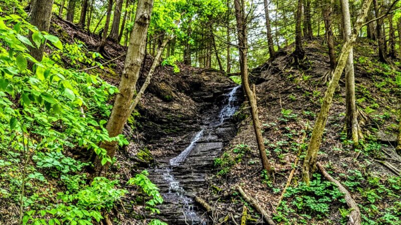 Keshequa Creek Falls Trailhead - Dansville, NY