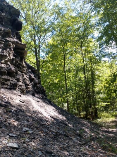 Keshequa Creek Falls Trailhead - Dansville, NY