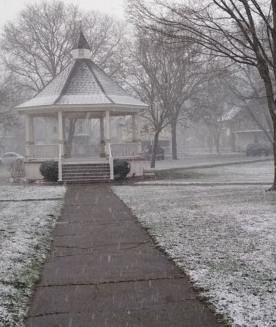 Pioneer Park - Dansville, NY