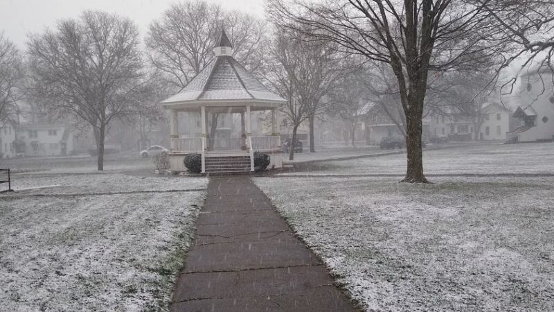 Pioneer Park - Dansville, NY