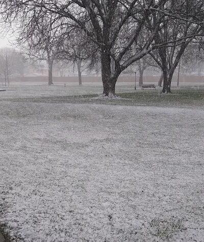 Pioneer Park - Dansville, NY