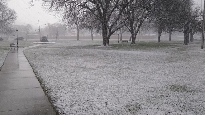 Pioneer Park - Dansville, NY