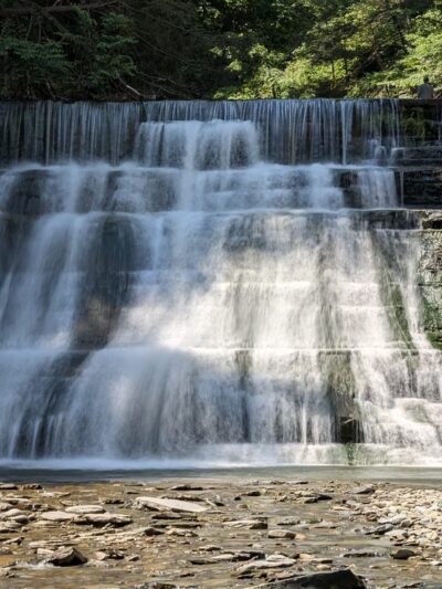 Stony Brook State Park - Dansville, NY