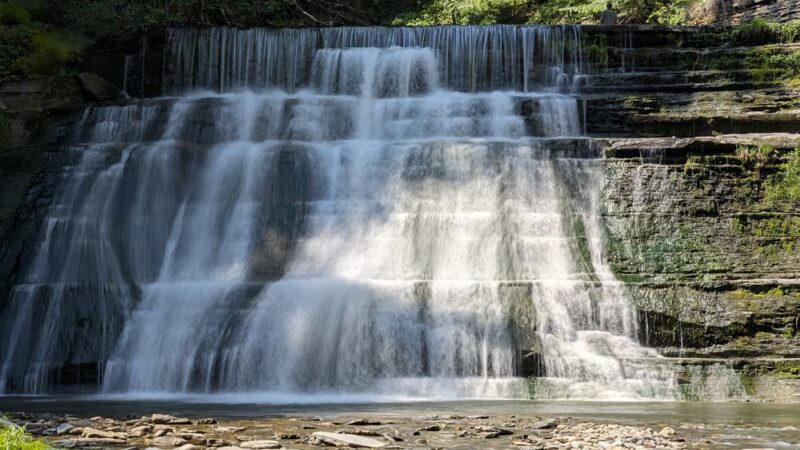Stony Brook State Park - Dansville, NY