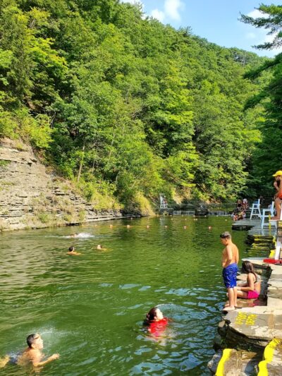 Stony Brook State Park - Dansville, NY