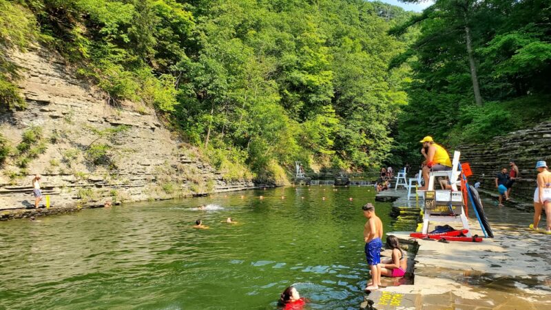 Stony Brook State Park - Dansville, NY