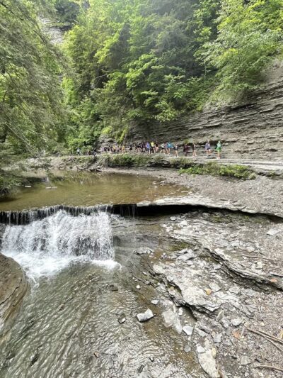 Stony Brook State Park - Dansville, NY