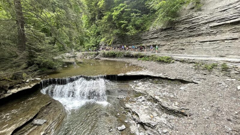 Stony Brook State Park - Dansville, NY