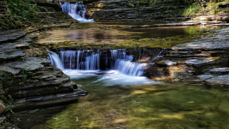 Stony Brook State Park - Dansville, NY