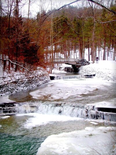 Stony Brook State Park Campground - Dansville, NY