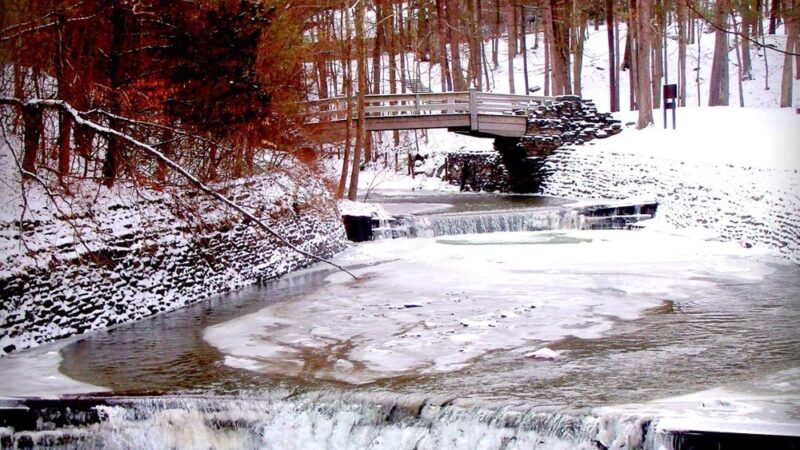 Stony Brook State Park Campground - Dansville, NY