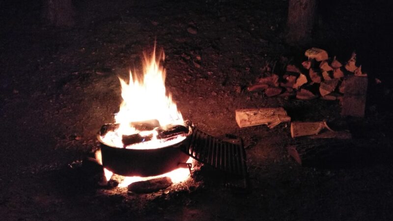 Stony Brook State Park Campground - Dansville, NY