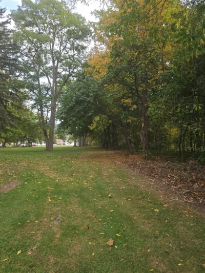 Williams Park Village Of Dansville - Dansville, NY