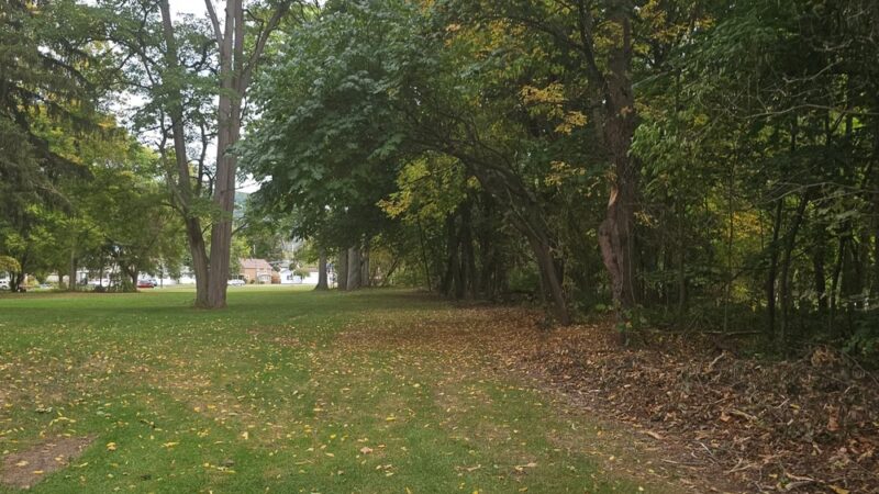 Williams Park Village Of Dansville - Dansville, NY