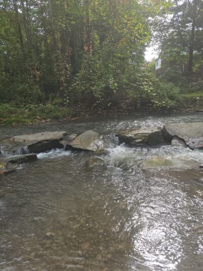 Williams Park Village Of Dansville - Dansville, NY