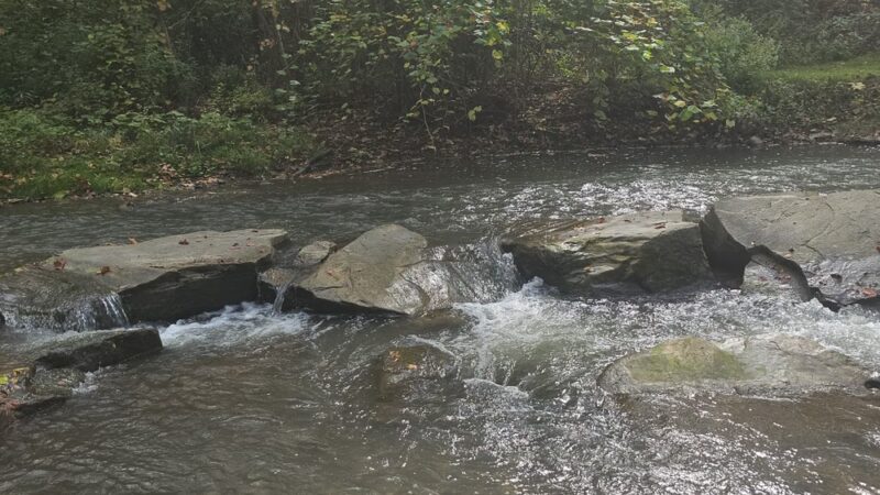 Williams Park Village Of Dansville - Dansville, NY