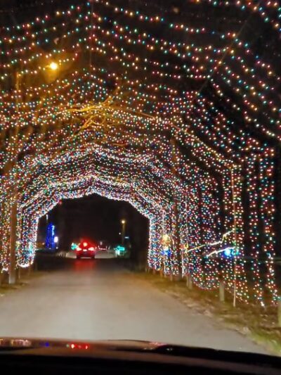 Ellis Park - Danville, IN