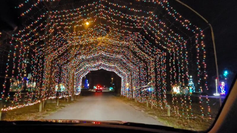 Ellis Park - Danville, IN