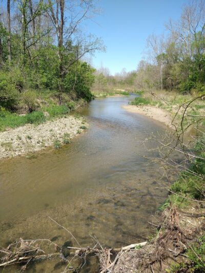 Twin Bridges Loop Trail - Danville, IN