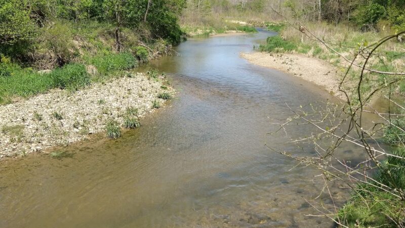 Twin Bridges Loop Trail - Danville, IN