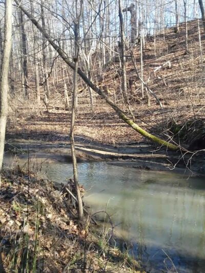 Twin Bridges Loop Trail - Danville, IN