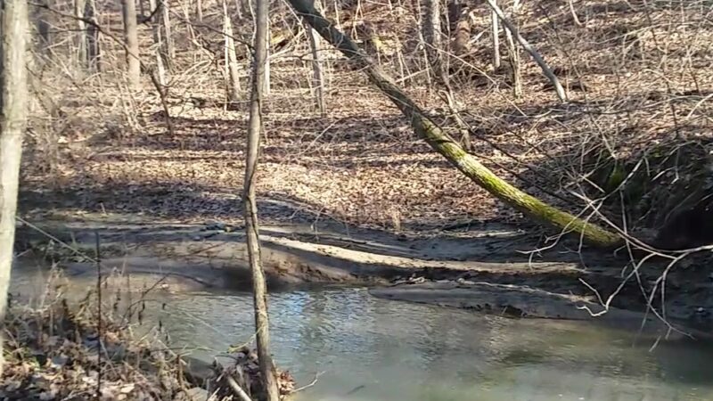 Twin Bridges Loop Trail - Danville, IN
