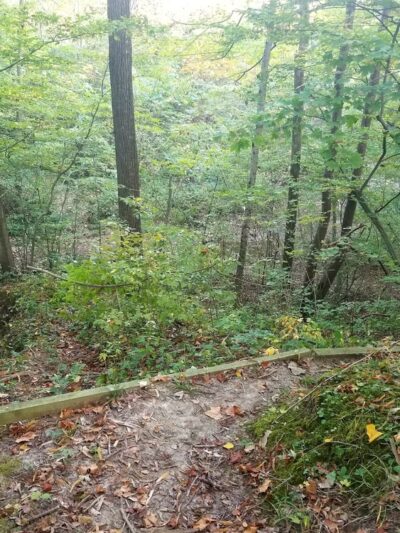 Twin Bridges Loop Trail - Danville, IN