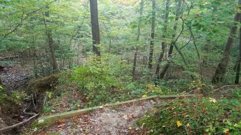 Twin Bridges Loop Trail - Danville, IN