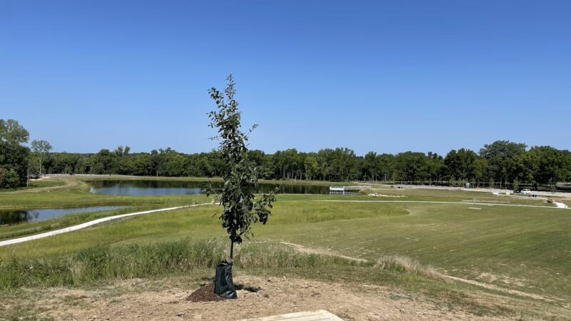 W.S. Gibbs Memorial Park - Danville, IN