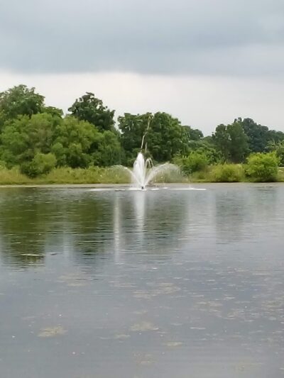 Millennium Park - Danville, KY