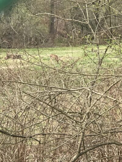 Conway Park - Darby Township, PA