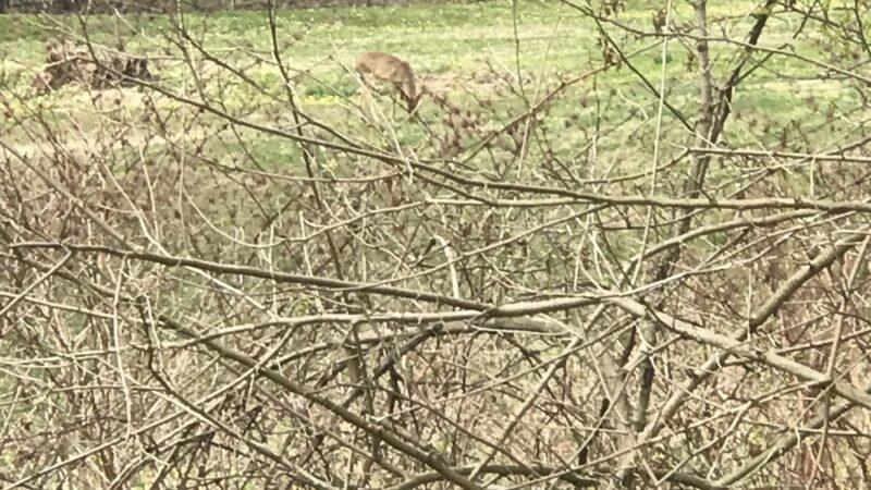 Conway Park - Darby Township, PA