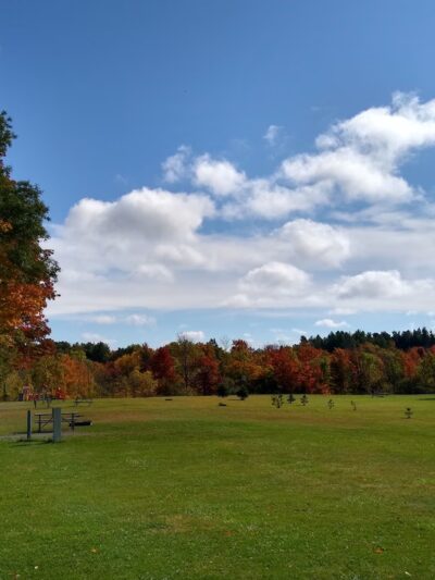 Darien Lakes State Park - Darien Center, NY