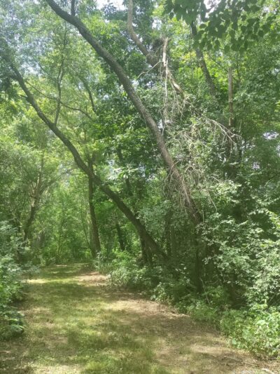 Wildwood Park - Darien, WI