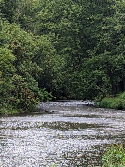 Pecatonica River Trails Park - Darlington, WI