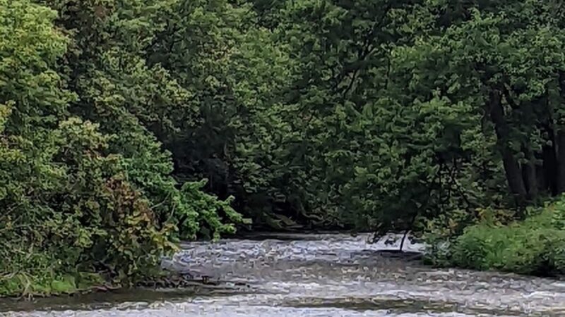 Pecatonica River Trails Park - Darlington, WI