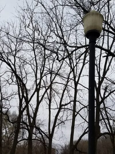 Riverside Park - Darlington, WI