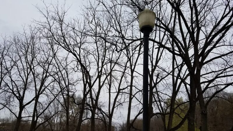 Riverside Park - Darlington, WI