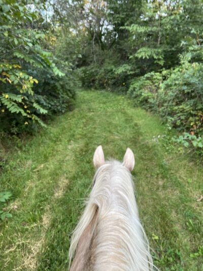 Yellowstone Wildlife Area Equestrian Trail - Darlington, WI