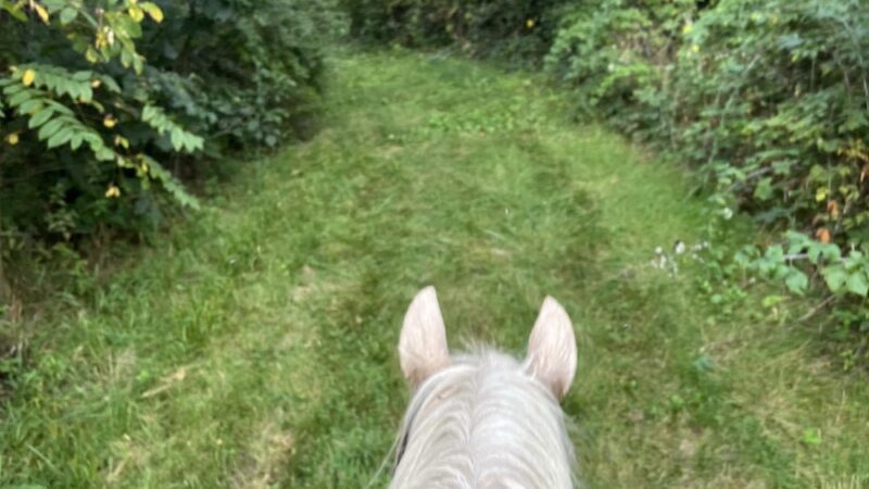Yellowstone Wildlife Area Equestrian Trail - Darlington, WI