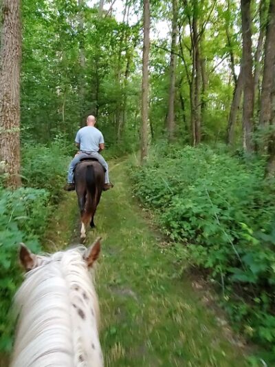 Yellowstone Wildlife Area Equestrian Trail - Darlington, WI