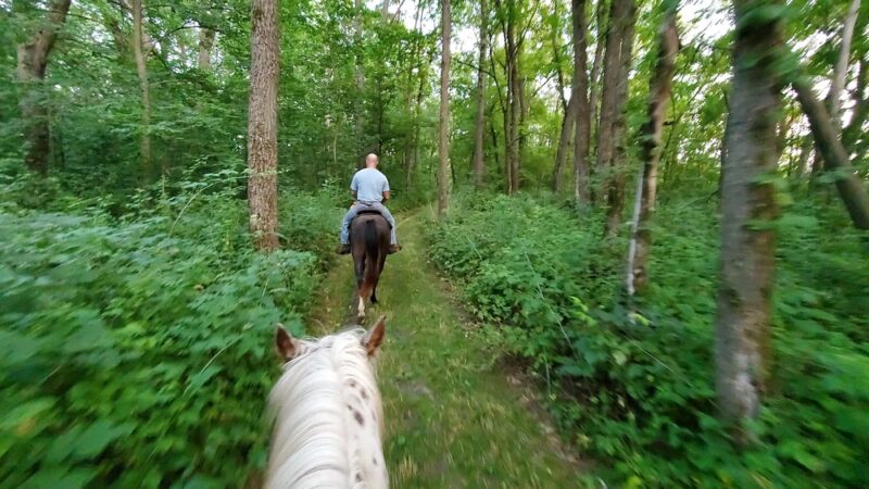 Yellowstone Wildlife Area Equestrian Trail - Darlington, WI