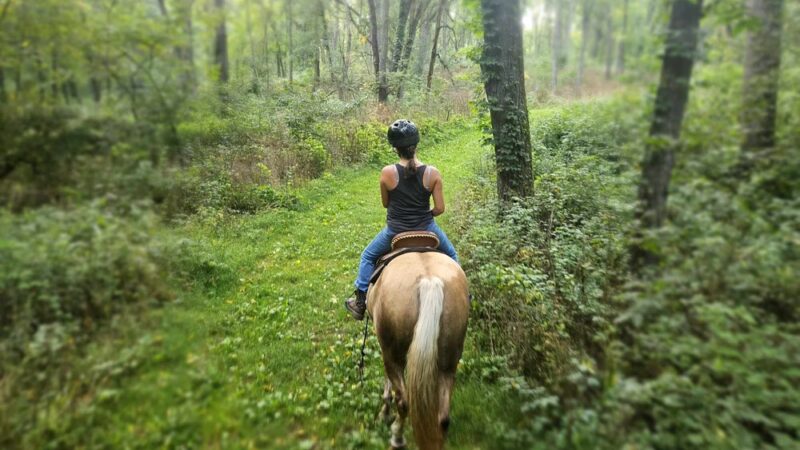 Yellowstone Wildlife Area Equestrian Trail - Darlington, WI
