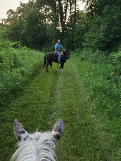 Yellowstone Wildlife Area Equestrian Trail - Darlington, WI