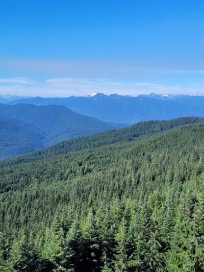North Mountain MTB Trails - Darrington, WA