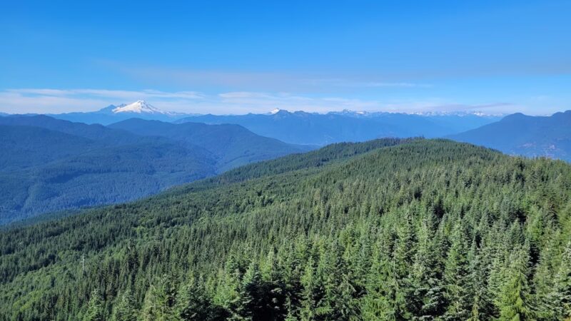 North Mountain MTB Trails - Darrington, WA