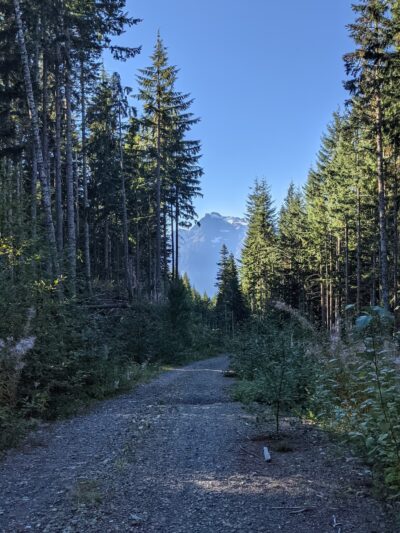 North Mountain MTB Trails - Darrington, WA