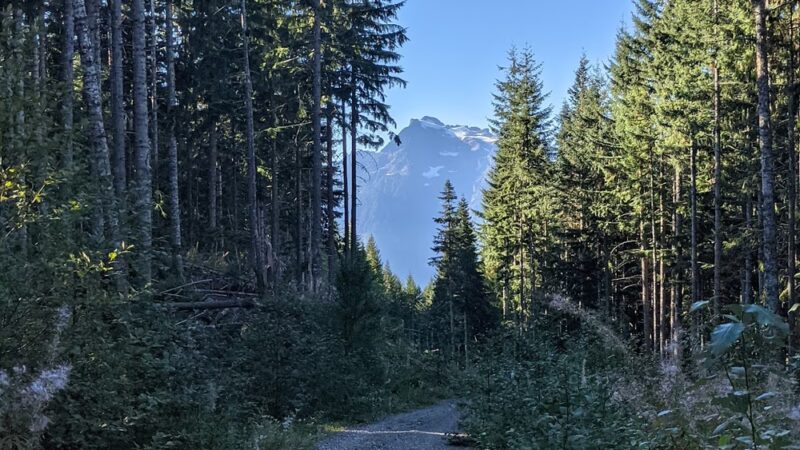 North Mountain MTB Trails - Darrington, WA