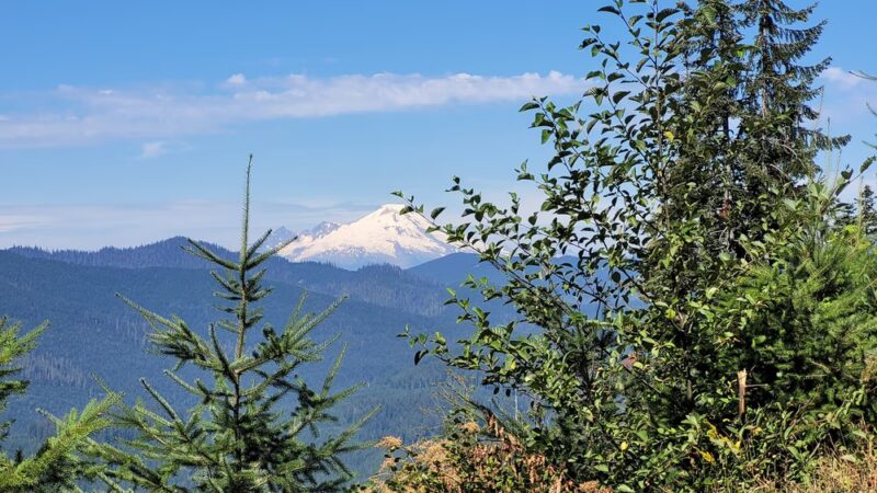North Mountain MTB Trails - Darrington, WA